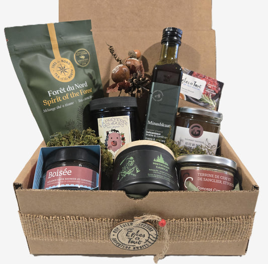 Balade en forêt / a walk in the woods